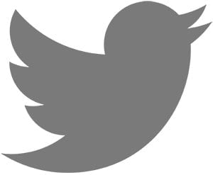 Logo_of_Twitter.svg
